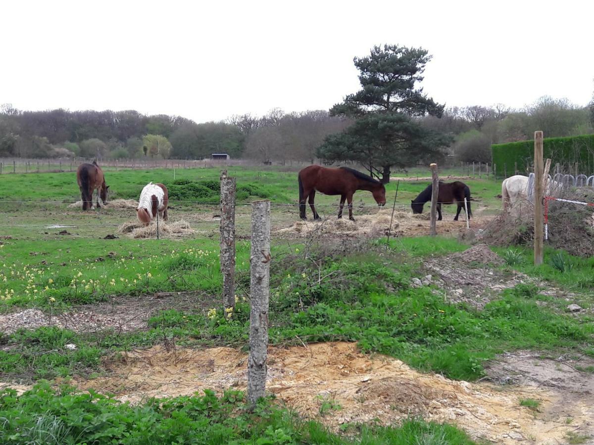 Holiday home Maison De Charme Cellettes (Loir-et-Cher)